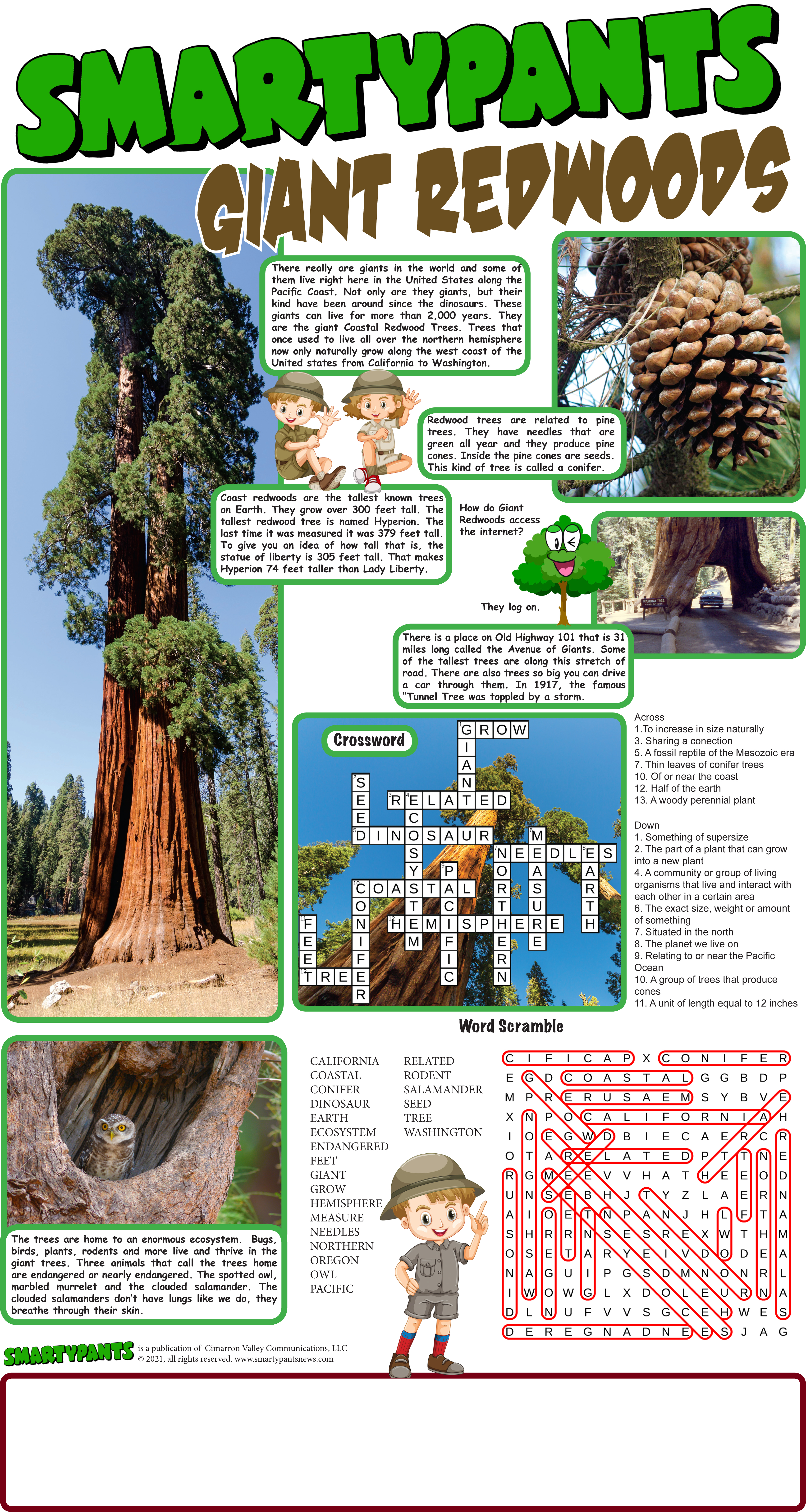 Redwoods answers
