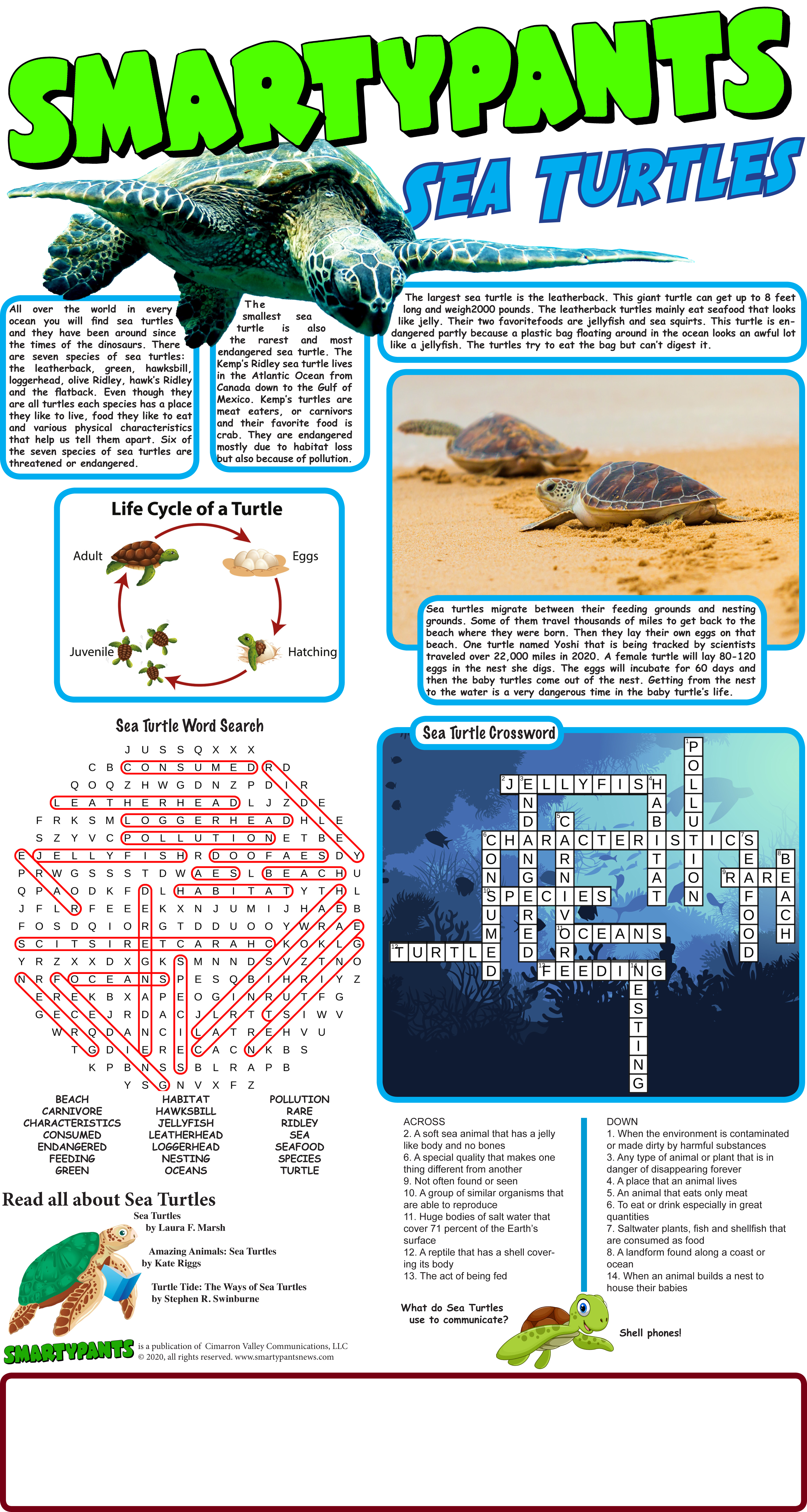 Sea Turtle Answers