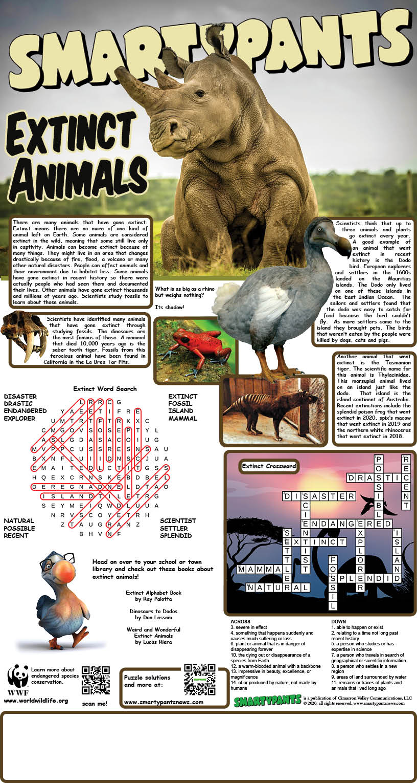 Extinct Animals Solution