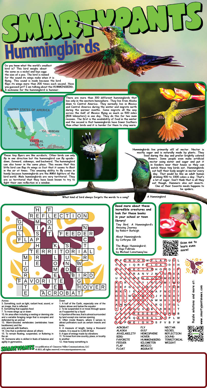 Hummingbird puzzle Answers
