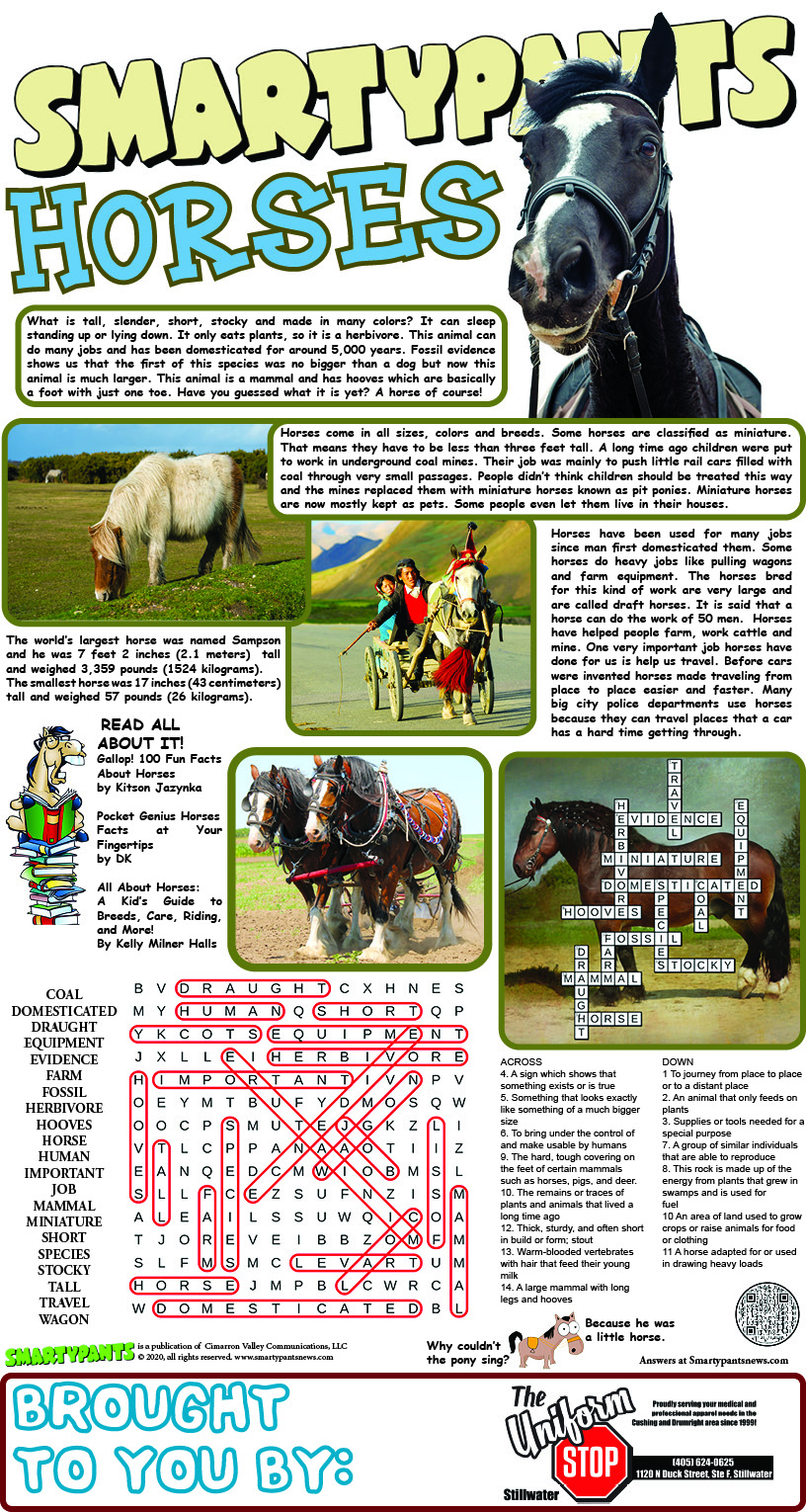 Horses Answers