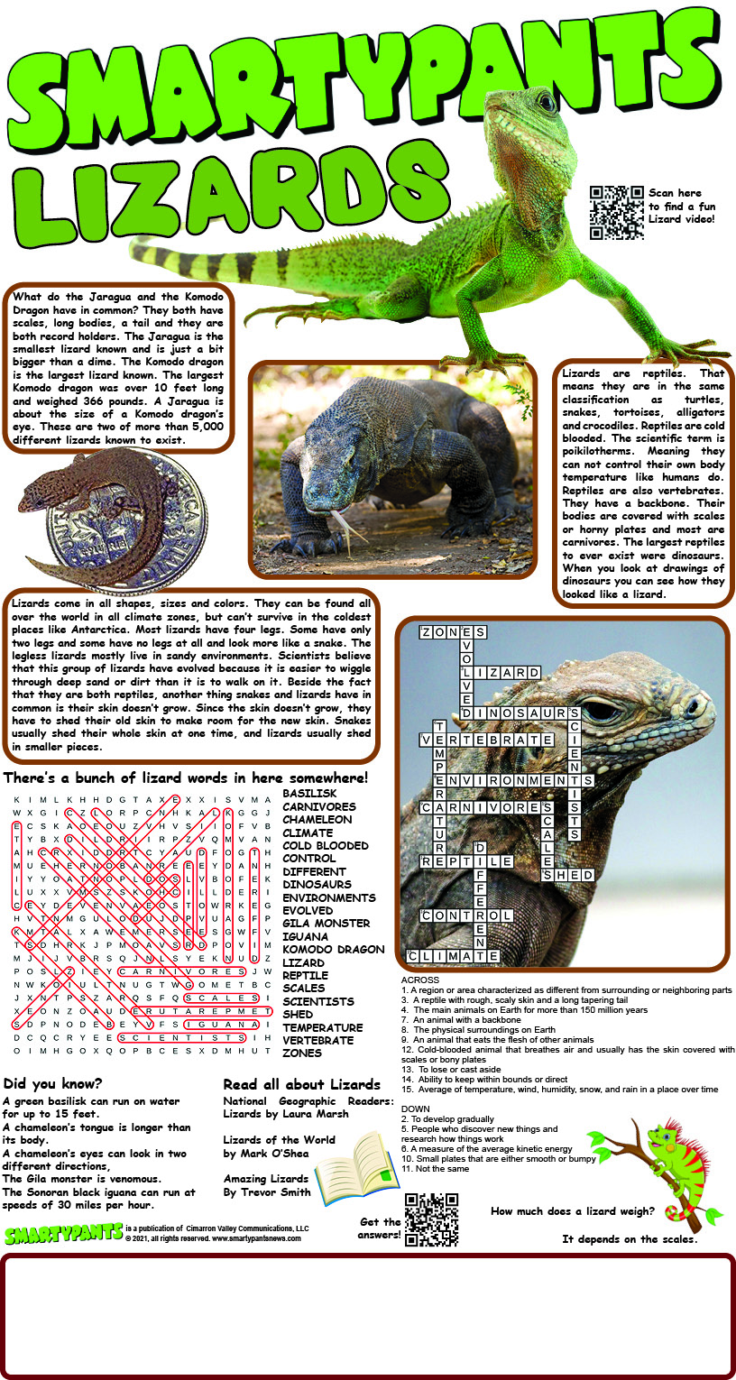 Lizards Answers