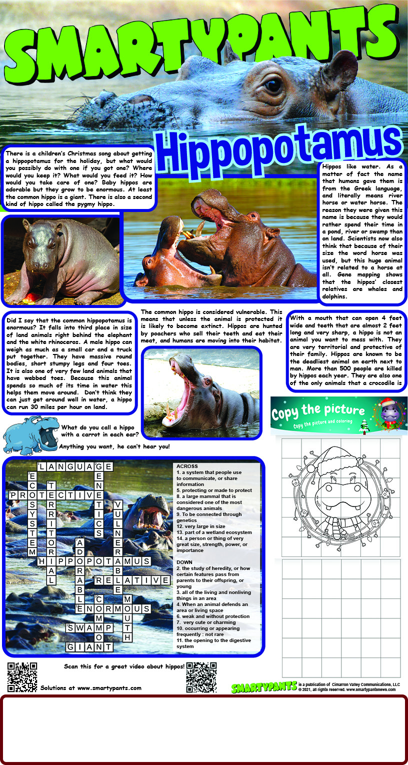 Hippopotamus Answers