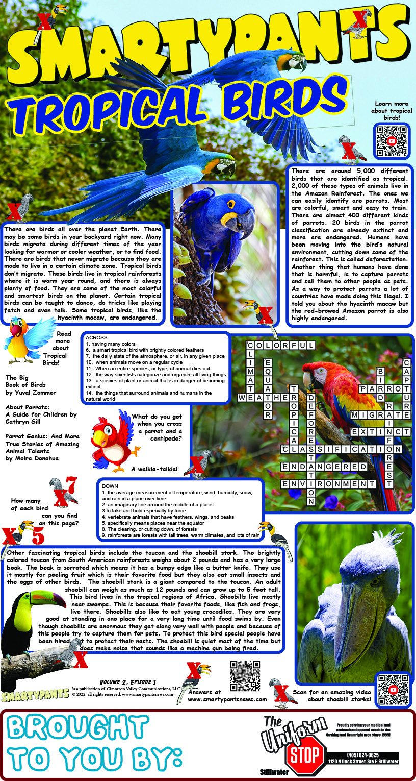 Tropical Birds Answers Page
