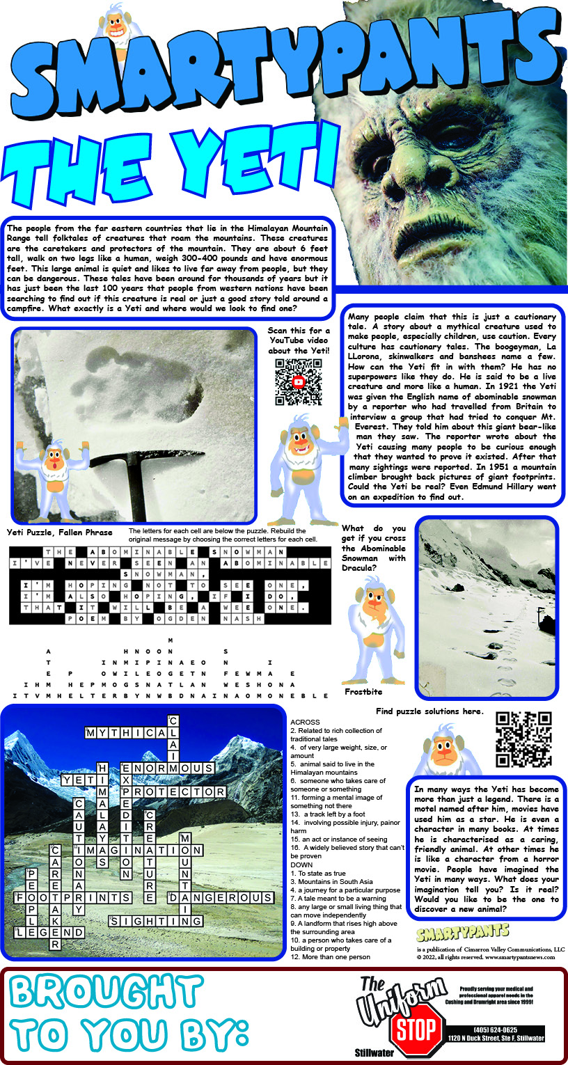 The Yeti Solutions