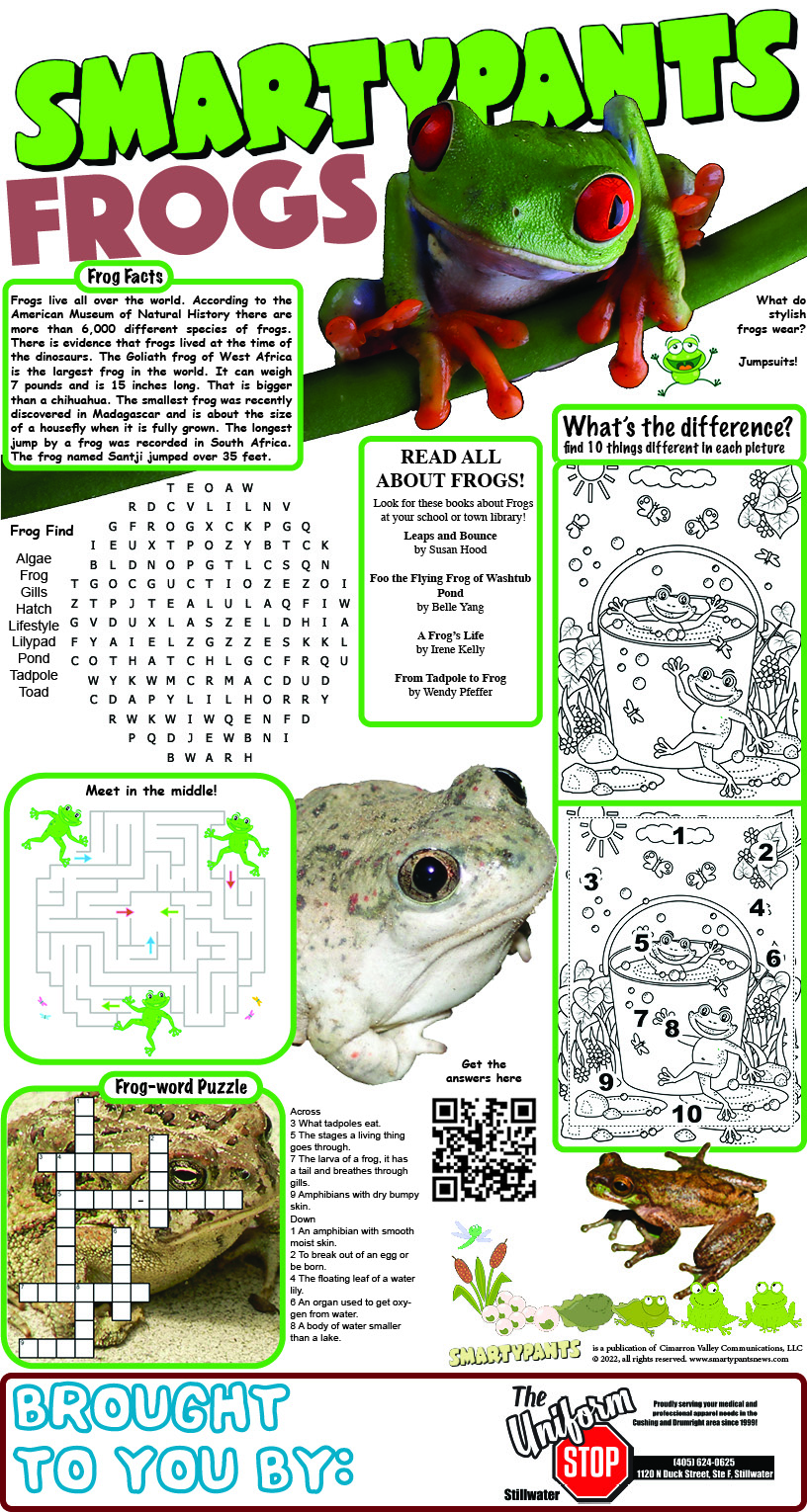 041722 Frogs Solutions
