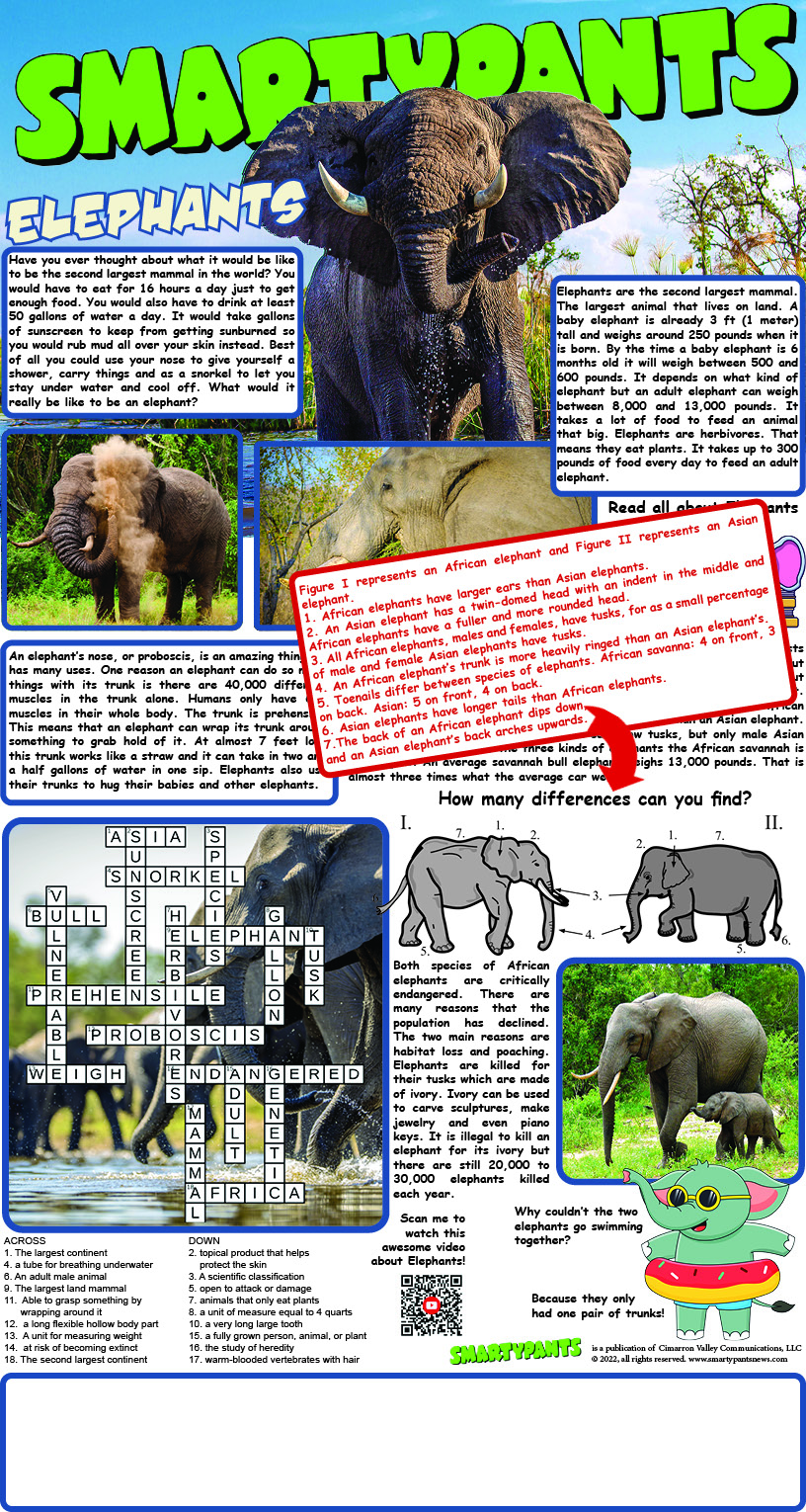 Elephants !