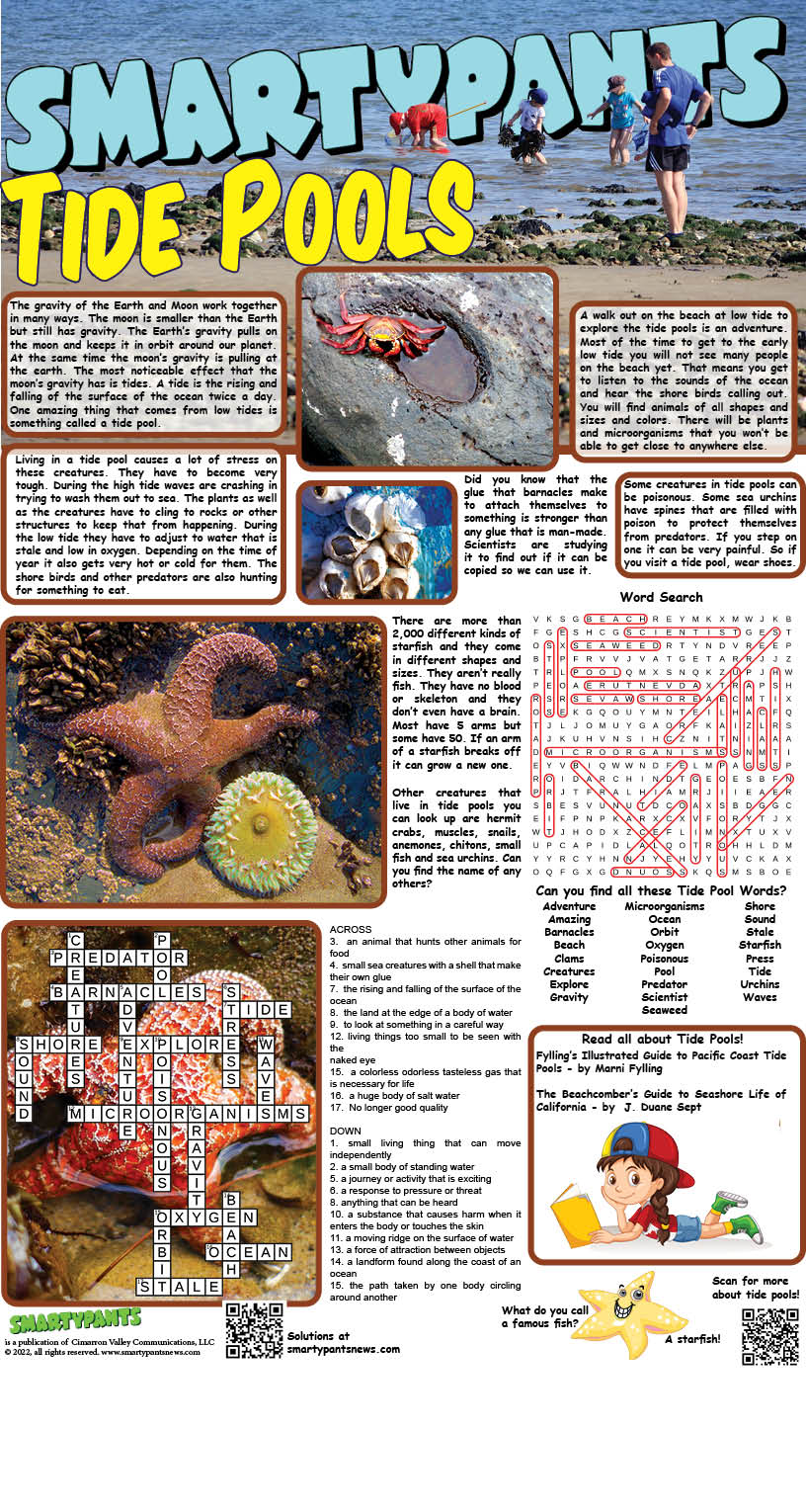 Tide Pools Answers
