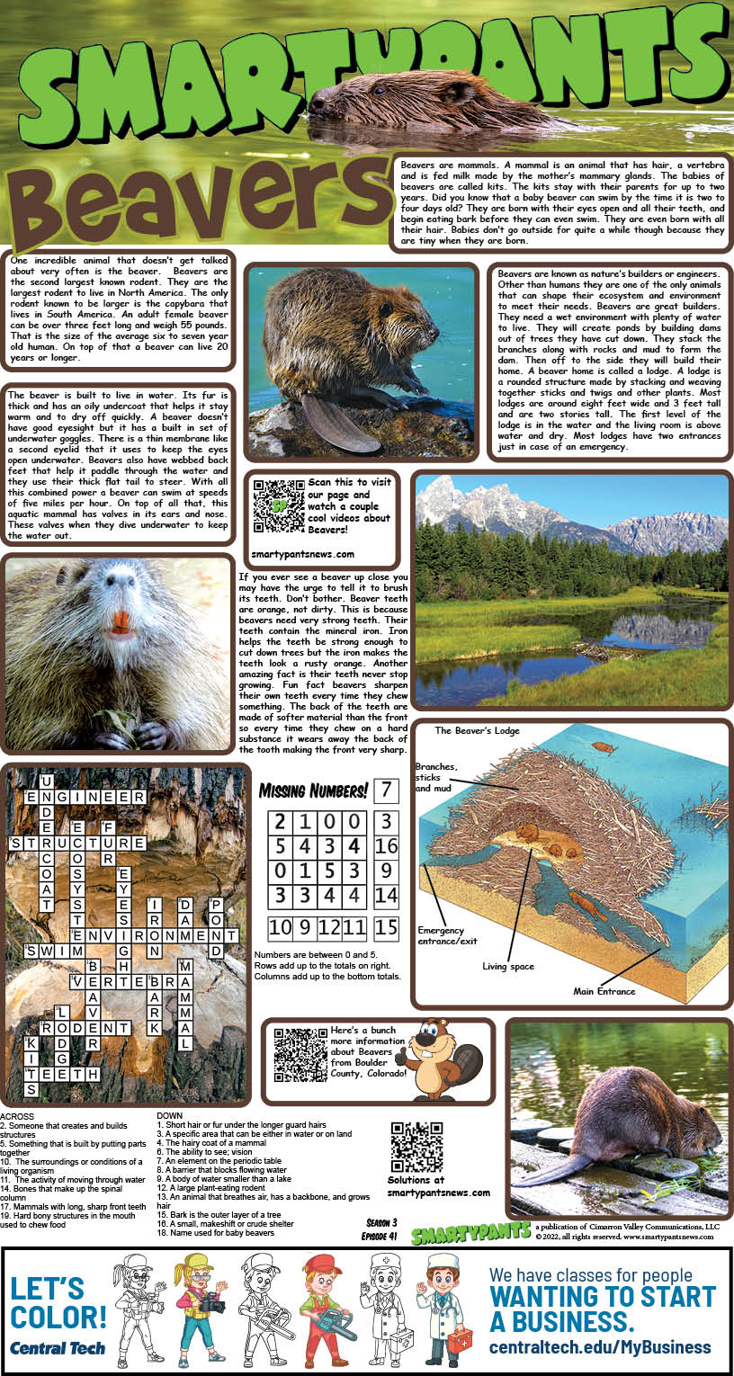 101622 Beavers Answers