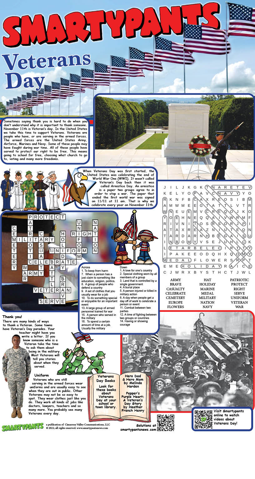 110622 Veteran's Day Solutions