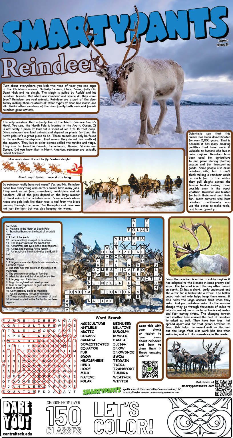 120422 Reindeer Solutions