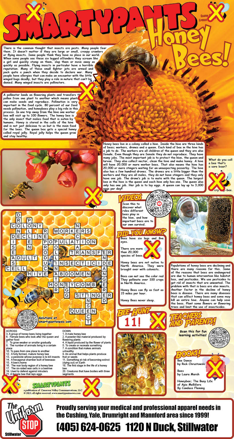 Bees Puzzle Solution