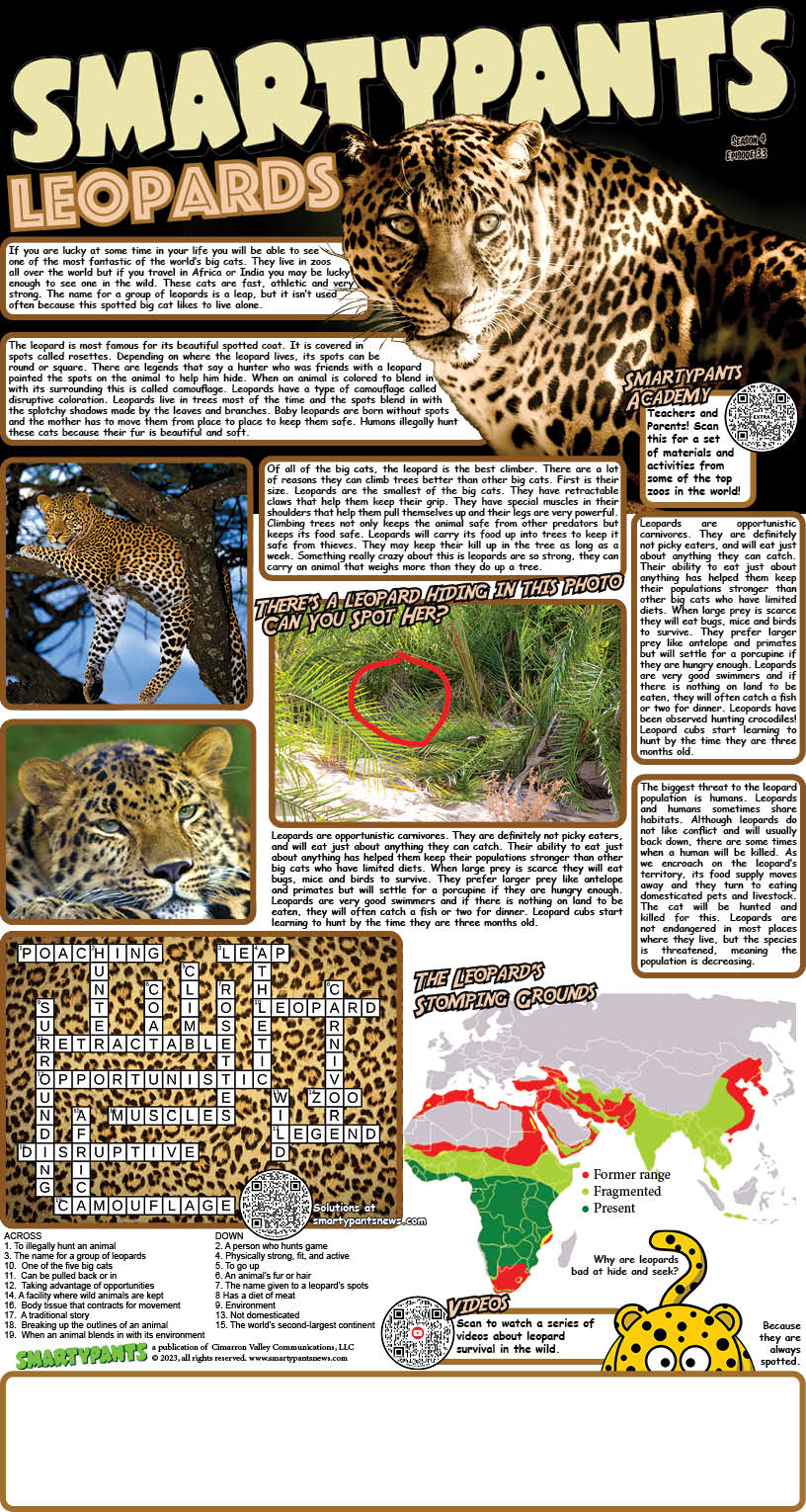 Leopards solutioins