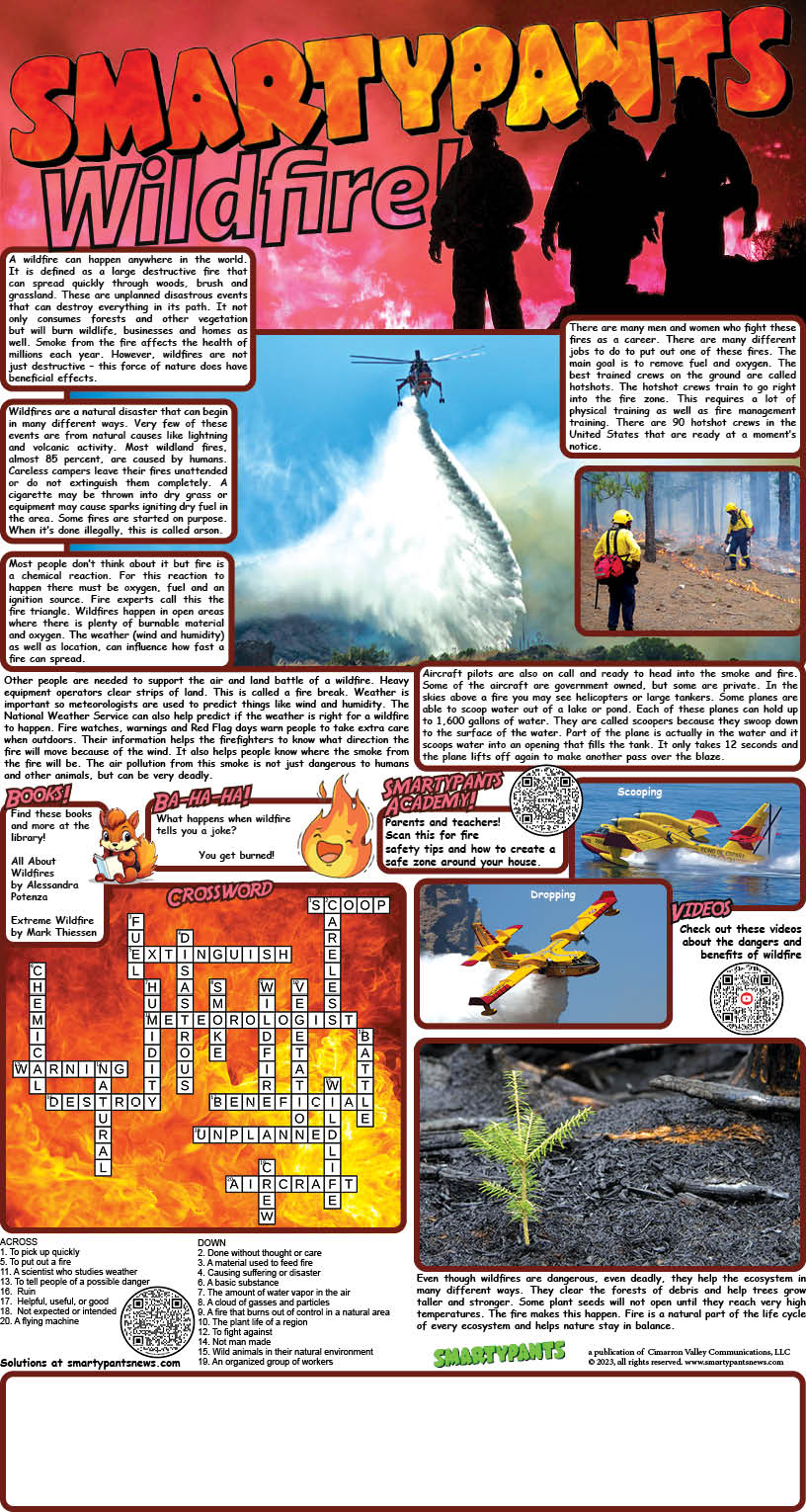 Wildfire puzzle solutions