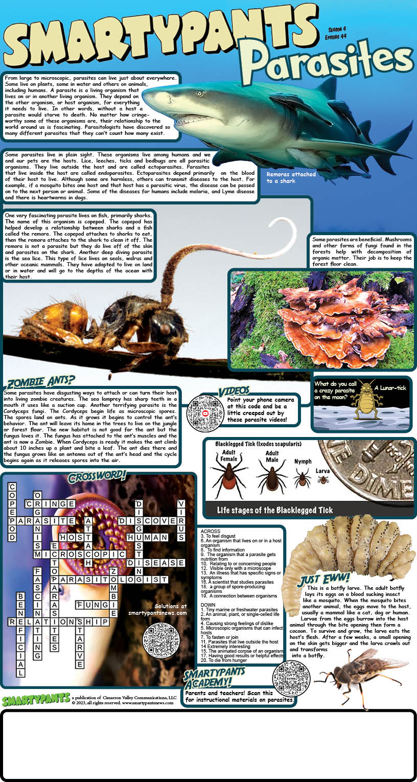 Parasite Solutions