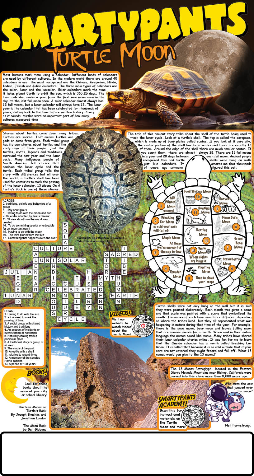 Turtle Moon Solutions