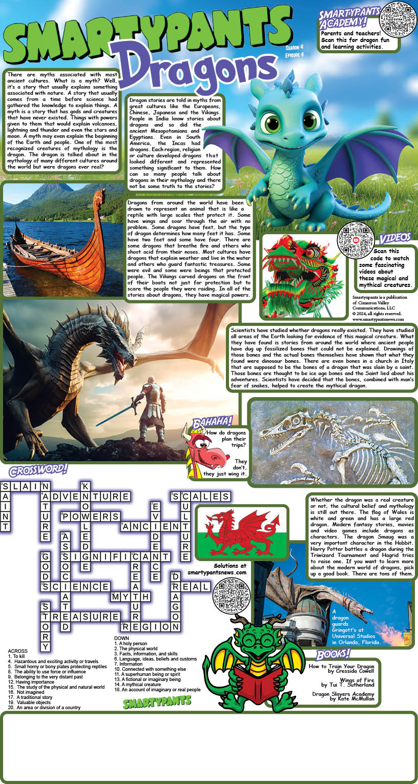 Dragons Solutions