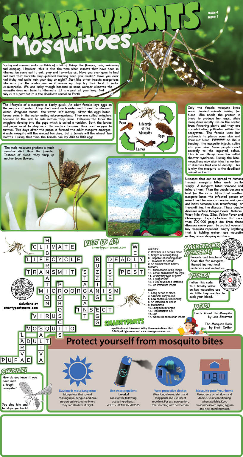 Mosquoto puzzle solutions
