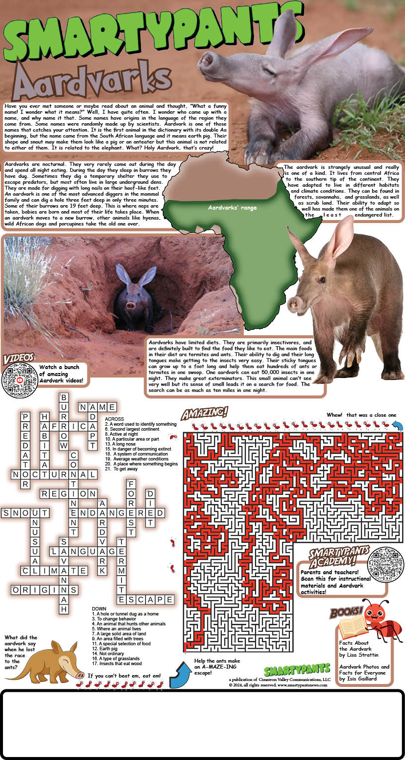 Aardvark Solutions