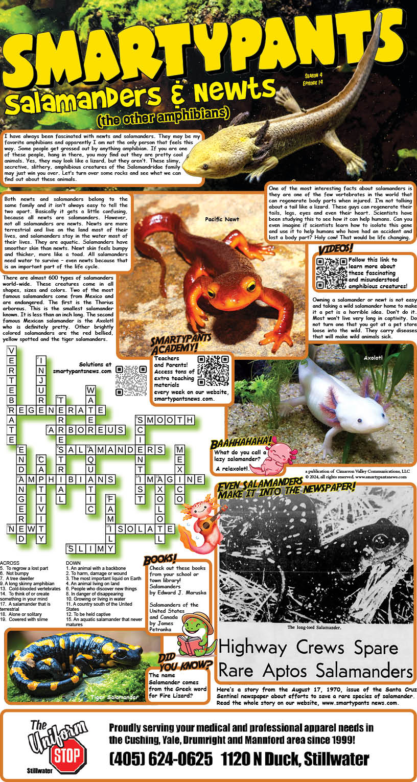 033124 Salamanders and Newts 