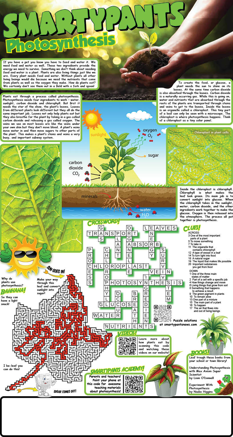 Photosynthesis Solutions