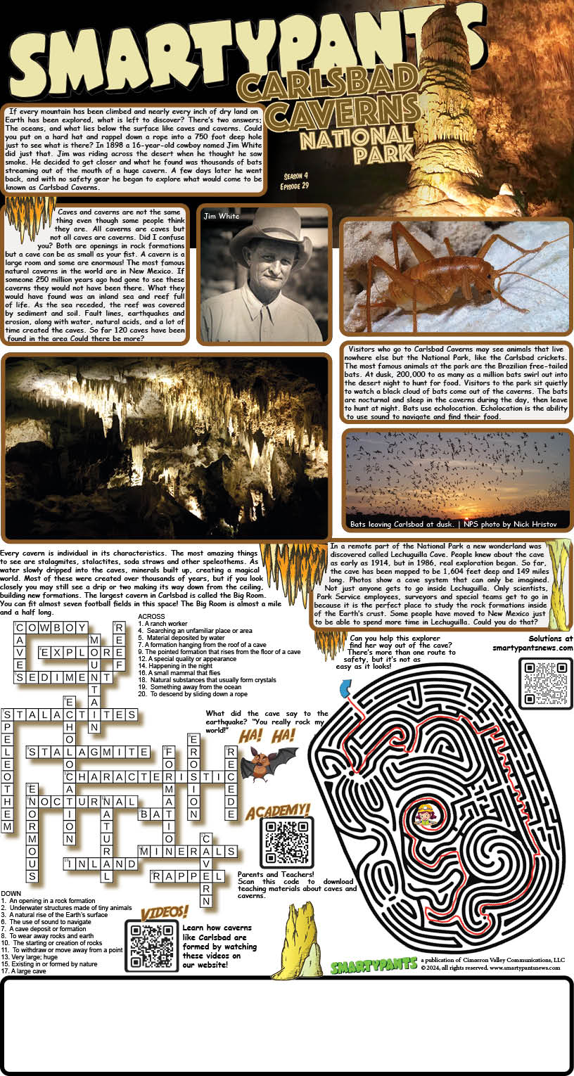 071324 Carllsbad Caverns Solutions