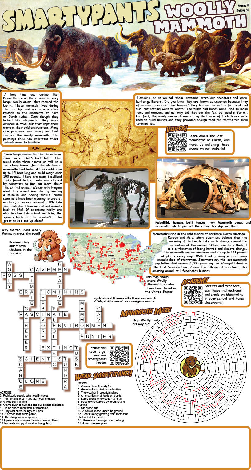 Mammoth Solutions