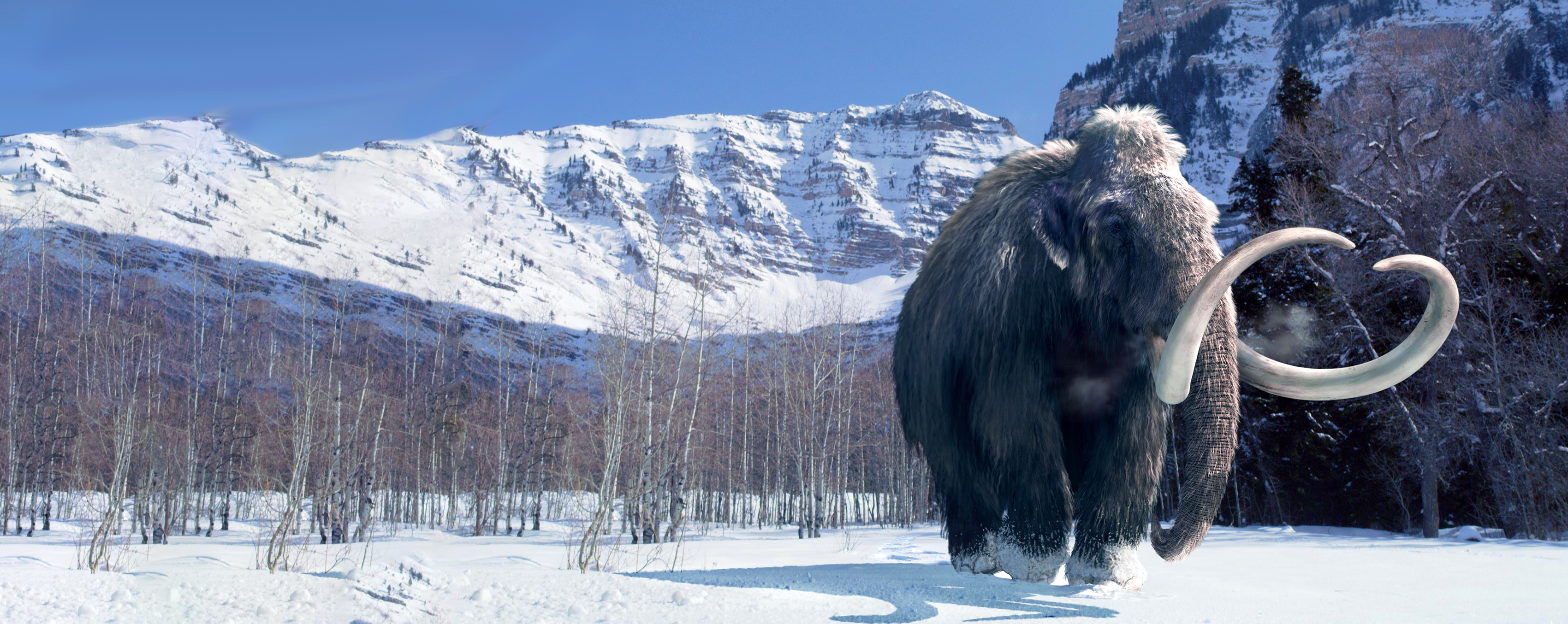 Mammoth