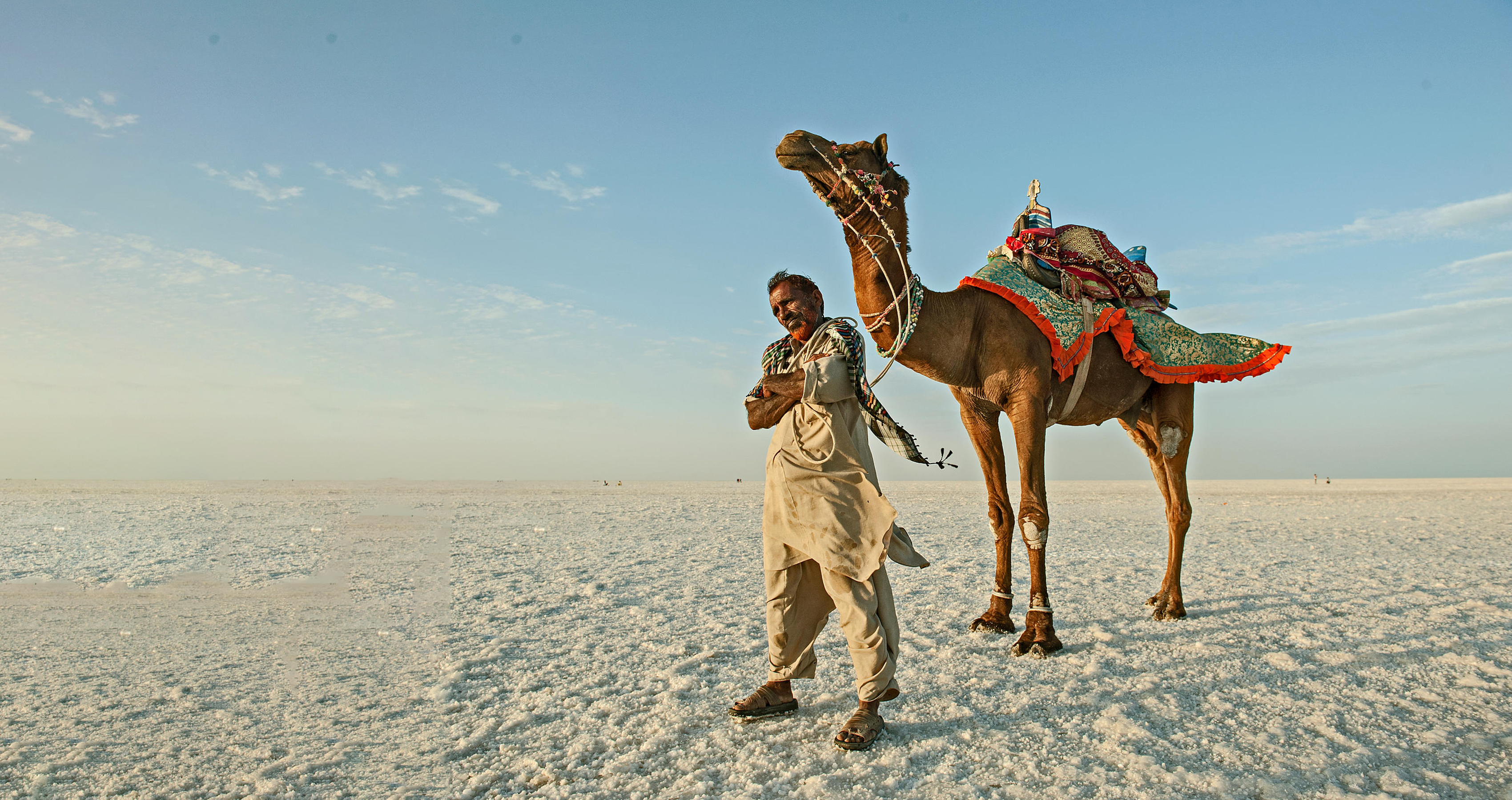 Dromedary