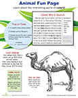 Camel worksheet