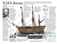 HMS Bounty