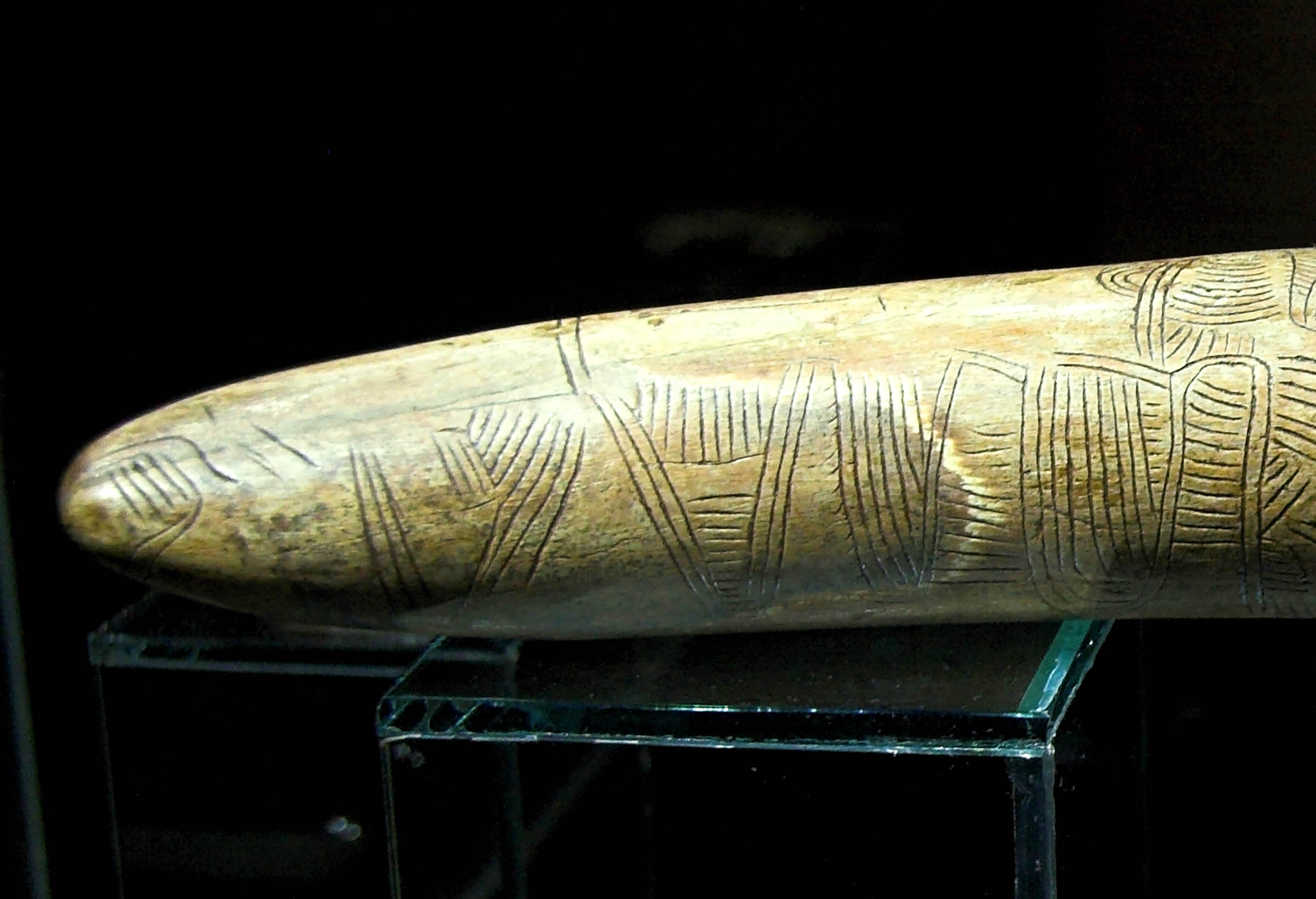 Engraved Tusk