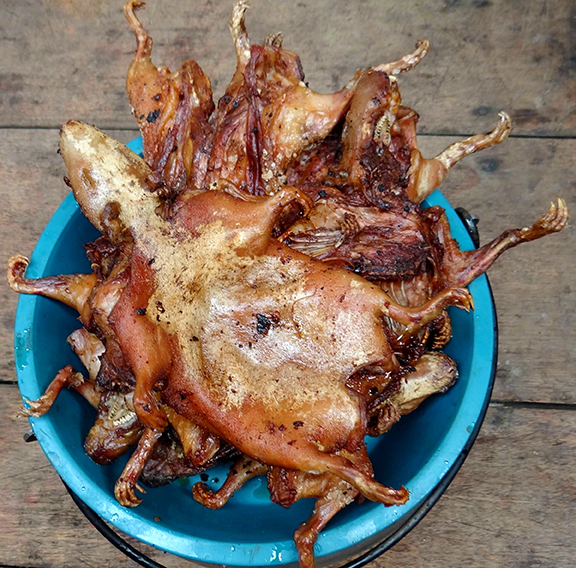 Roast Guinea Pig