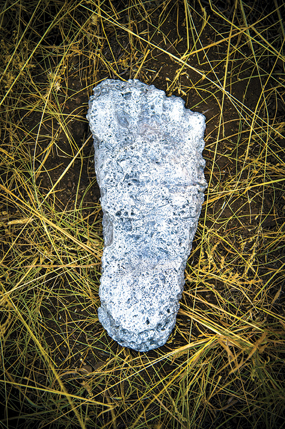 Plaster Cast
