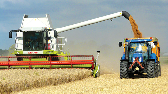Harvest