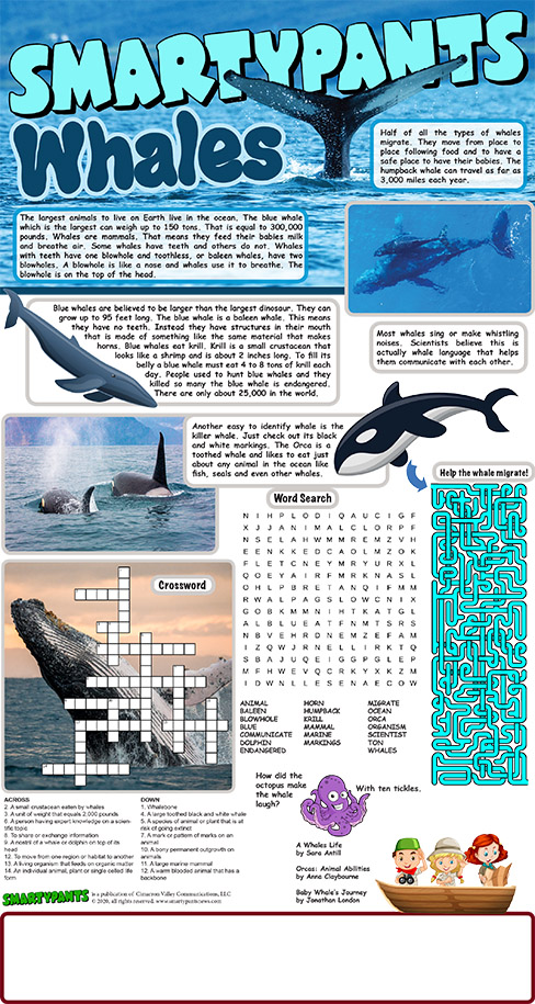 Whales puzzle