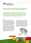 Cane Toad Reading