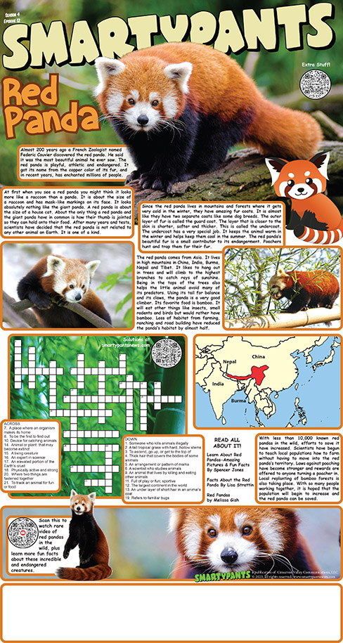 Red Pandas puzzle