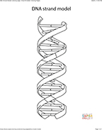Coloring Page