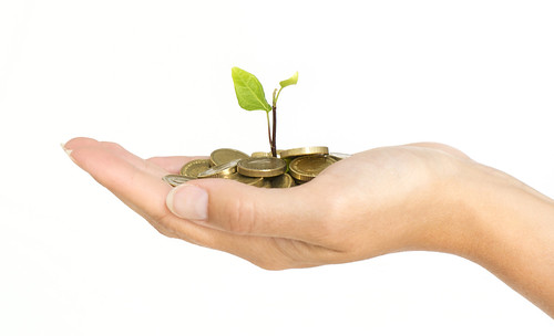 Money Tree