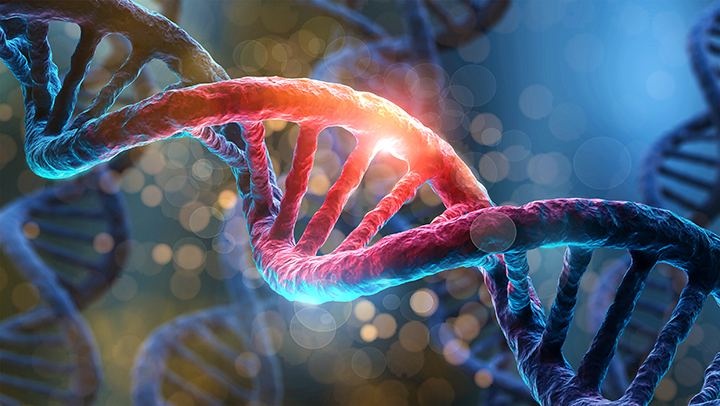 DNA