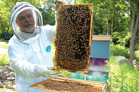Beekeeper