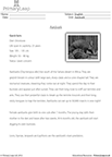 Aardvark Comprehension