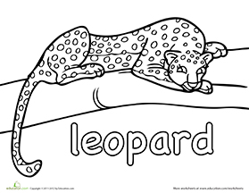 Leopard Coloring