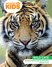 Wild Cats Thumb