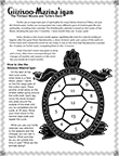 13 Moons Activity 1