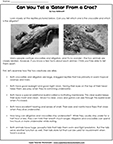 Gator WORKSHEET