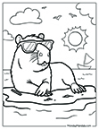 Capy Coloriing