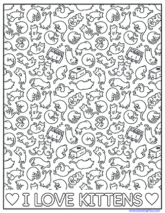 Cat Stuff