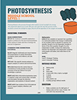 photosynthesis 2